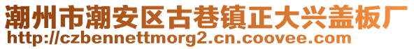 潮州市潮安区古巷镇正大兴盖板厂