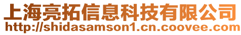 上海亮拓信息科技有限公司