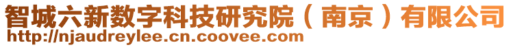 智城六新数字科技研究院（南京）有限公司