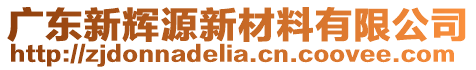 廣東新輝源新材料有限公司