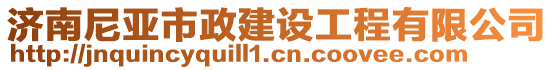 濟(jì)南尼亞市政建設(shè)工程有限公司