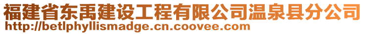 福建省東禹建設工程有限公司溫泉縣分公司