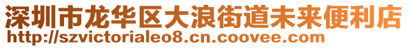 深圳市龍華區(qū)大浪街道未來便利店