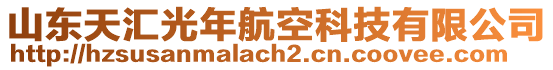 山東天匯光年航空科技有限公司