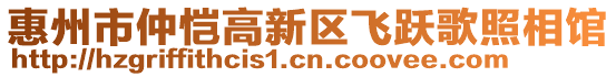 惠州市仲愷高新區(qū)飛躍歌照相館