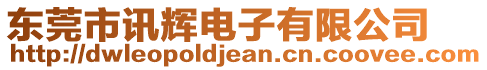 東莞市訊輝電子有限公司