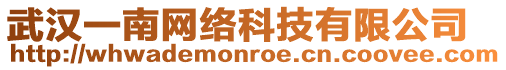 武漢一南網(wǎng)絡(luò)科技有限公司