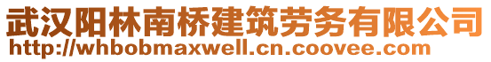 武漢陽林南橋建筑勞務(wù)有限公司