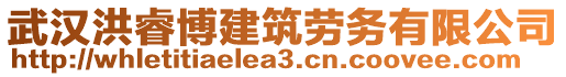 武漢洪睿博建筑勞務(wù)有限公司