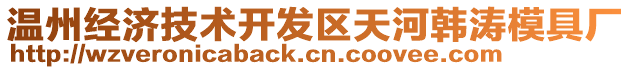 溫州經(jīng)濟技術(shù)開發(fā)區(qū)天河韓濤模具廠