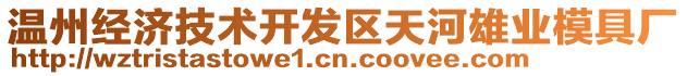 溫州經(jīng)濟(jì)技術(shù)開發(fā)區(qū)天河雄業(yè)模具廠