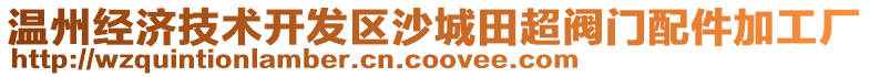 溫州經(jīng)濟(jì)技術(shù)開發(fā)區(qū)沙城田超閥門配件加工廠