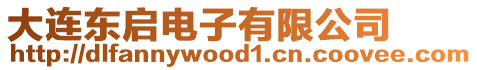 大連東啟電子有限公司