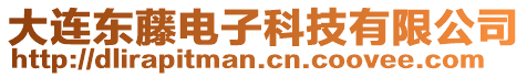 大連東藤電子科技有限公司