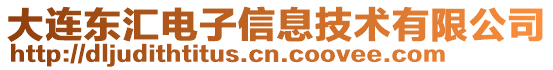 大連東匯電子信息技術(shù)有限公司