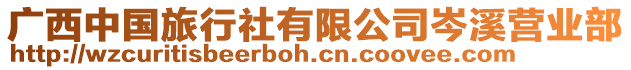 廣西中國(guó)旅行社有限公司岑溪營(yíng)業(yè)部