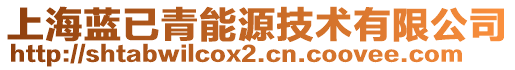 上海藍(lán)已青能源技術(shù)有限公司