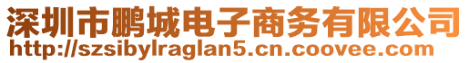 深圳市鵬城電子商務(wù)有限公司