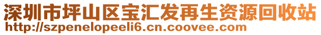 深圳市坪山區(qū)寶匯發(fā)再生資源回收站