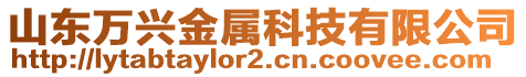 山東萬興金屬科技有限公司