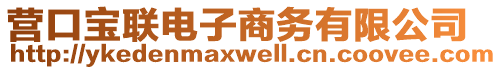 營口寶聯(lián)電子商務有限公司