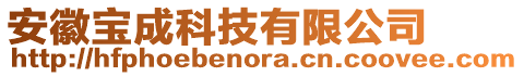 安徽寶成科技有限公司