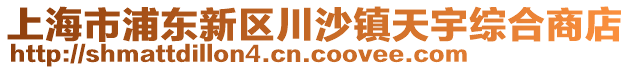 上海市浦東新區(qū)川沙鎮(zhèn)天宇綜合商店