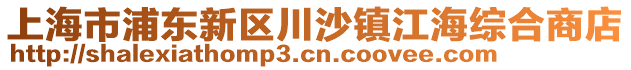 上海市浦東新區(qū)川沙鎮(zhèn)江海綜合商店