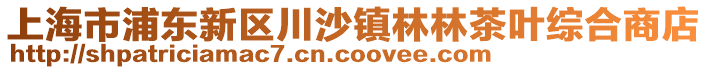 上海市浦东新区川沙镇林林茶叶综合商店