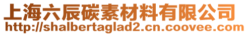 上海六辰碳素材料有限公司