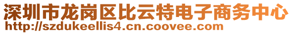 深圳市龍崗區(qū)比云特電子商務(wù)中心