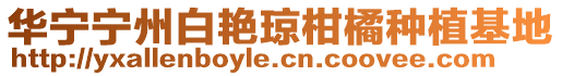 華寧寧州白艷瓊柑橘種植基地