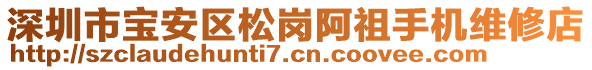 深圳市寶安區(qū)松崗阿祖手機(jī)維修店