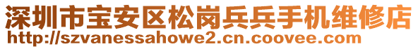 深圳市寶安區(qū)松崗兵兵手機(jī)維修店