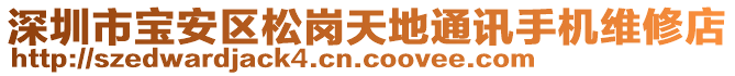 深圳市寶安區(qū)松崗天地通訊手機維修店