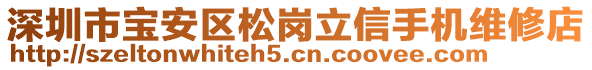 深圳市寶安區(qū)松崗立信手機(jī)維修店