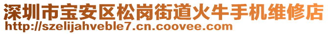 深圳市寶安區(qū)松崗街道火牛手機(jī)維修店