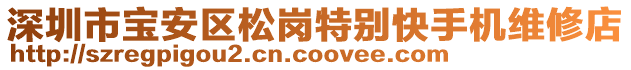 深圳市寶安區(qū)松崗特別快手機(jī)維修店