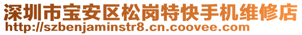 深圳市寶安區(qū)松崗特快手機維修店