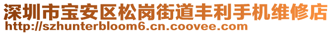 深圳市寶安區(qū)松崗街道豐利手機維修店