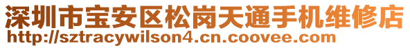 深圳市宝安区松岗天通手机维修店