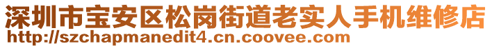 深圳市寶安區(qū)松崗街道老實(shí)人手機(jī)維修店