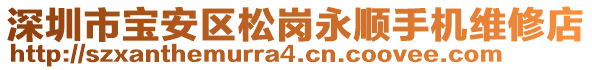 深圳市宝安区松岗永顺手机维修店