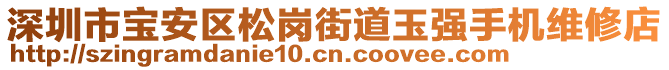 深圳市寶安區(qū)松崗街道玉強(qiáng)手機(jī)維修店