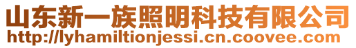 山東新一族照明科技有限公司