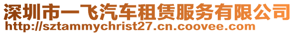 深圳市一飛汽車租賃服務(wù)有限公司