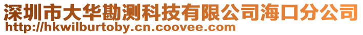 深圳市大华勘测科技有限公司海口分公司