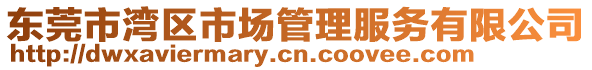 東莞市灣區(qū)市場(chǎng)管理服務(wù)有限公司