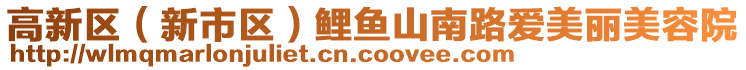 高新区（新市区）鲤鱼山南路爱美丽美容院