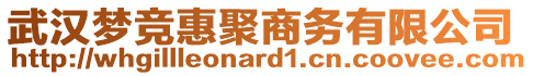 武漢夢競惠聚商務有限公司